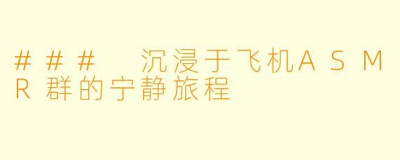 ### 沉浸于飞机ASMR群的宁静旅程