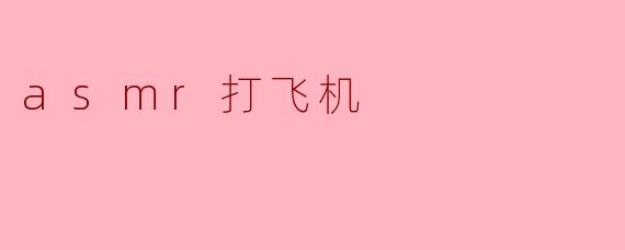 asmr打飞机
