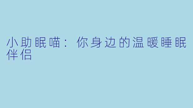 小助眠喵：你身边的温暖睡眠伴侣
