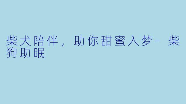 柴犬陪伴，助你甜蜜入梦