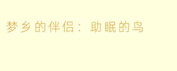 梦乡的伴侣：助眠的鸟