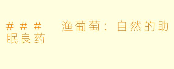 ### 渔葡萄：自然的助眠良药