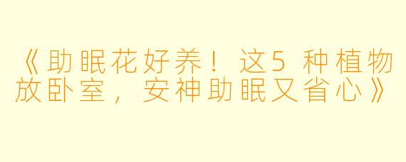 《助眠花好养！这5种植物放卧室，安神助眠又省心》