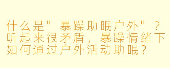 什么是